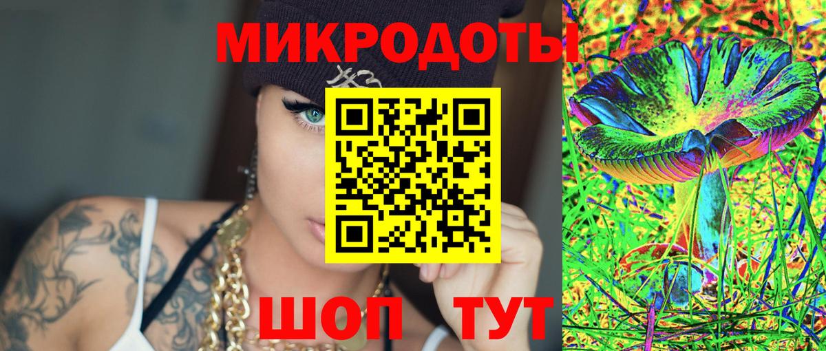 Псилоцибиновые грибы мухоморы Калининград